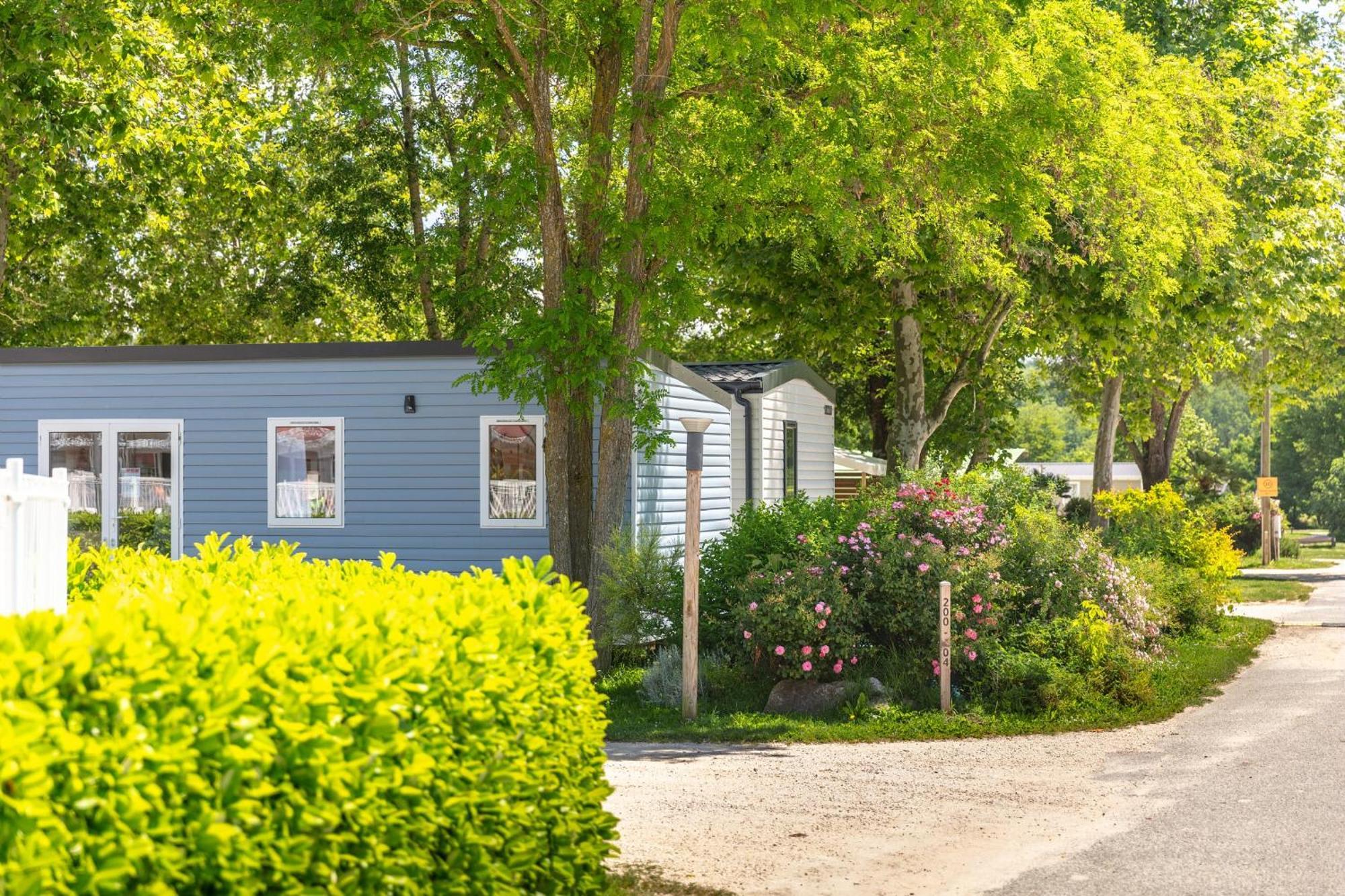 Camping Chateau De Galaure Chateauneuf-de-Galaure ภายนอก รูปภาพ